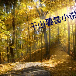 千山暮雪小说