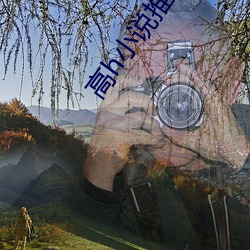 高h小说推荐