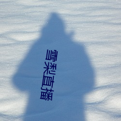 雪(雪)梨(梨)直播