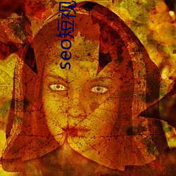 seo短视(視)频网页入口营销