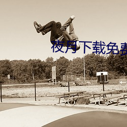 夜月下載免費