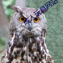 金年会(中国)官方网站