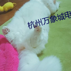 vwinӮ(й) - ٷվ