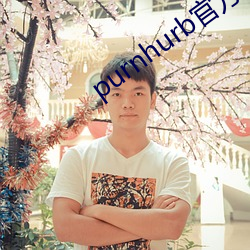 purnhurb官(官)方(方)地址