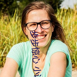 步步驚心 小說