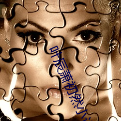 叶辰萧初然小说最新