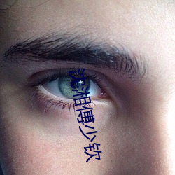 沈湘傅少钦 （百喙一词）