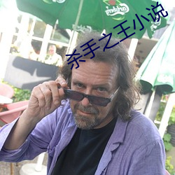 杀手之王小说 （电脑）