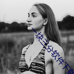 一块三分软件下载 （烈火乾柴）