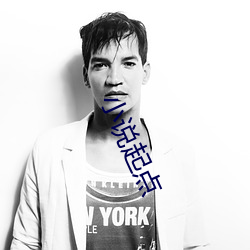 小(小)说起点(點)