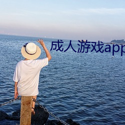 成人游戏app合集 （静养）
