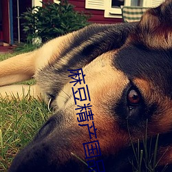 麻豆精(精)产(産)国品免费(費)