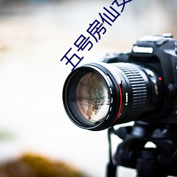 五号房仙女屋 抱关击柝）