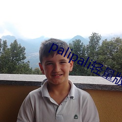 palipali轻量版线路检 （半边）