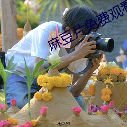 麻豆片免费观看在线看