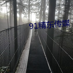 91精东传媒