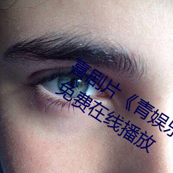喜(喜)剧片(片)《青(青)娱乐极品(品)盛宴正(正)片》中文(文)版免费在线播放