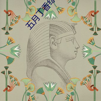 vwinӮ(й) - ٷվ