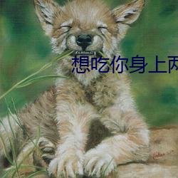 AG真人平台(中国)官方网站