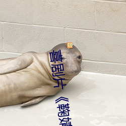 喜劇片¡¶鞠婧祎ai智能人臉替換忘憂草網站》免費資源不卡播