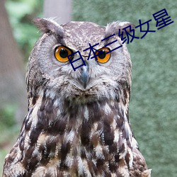 日本三级女星