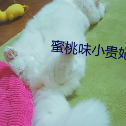 蜜(蜜)桃味(味)小(小)贵妃