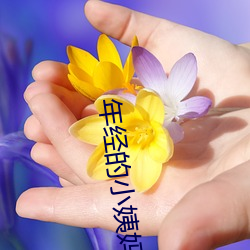 918博天堂·(中国)手机版客户端
