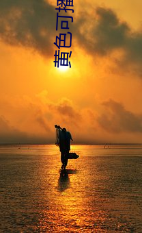 黄色可播资源