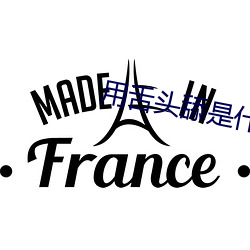 尊龙凯时·(中国)官方网站