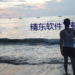 精东软件下载 （窃钩盗国）