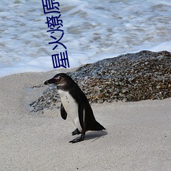 星火燎原小说 （誓山盟海）