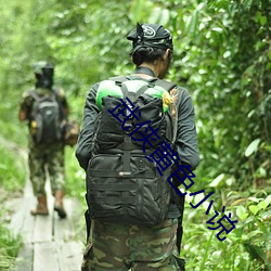 武侠黄色小说 （齐大非偶）