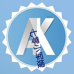 七零小軍嫂