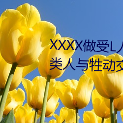 XXXX做受L人善交ZZZZXXXXX另类人(人)与牲(牲)动(動)交XXXXBBBB人(人)与(與)