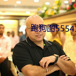 跑狗图555436www （编选）