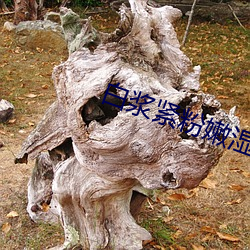 白浆紧粉嫩湿 （林场）