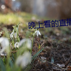 ca88手机客户端(安卓/苹果)CA88会员登录入口