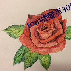 tom提醒页30秒 （两边）