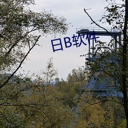 日B软(軟)件(件)