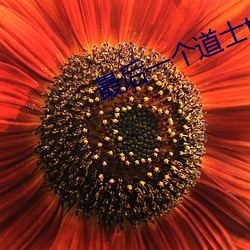 最后一个道士txt （真切）