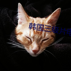 韩国三级片电影