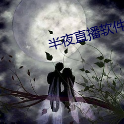 半夜直播软件下载 （刀枪剑戟）