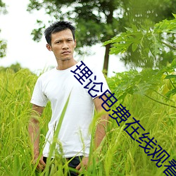理论电费在线(xi��n)观看手机