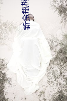 新金瓶梅2023