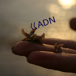 wADN ɣ