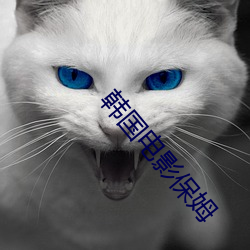 韩国电影保姆