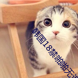 韩国18禁啪啪无遮(zh¨¥)挡(dǎng)免费(fèi)