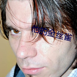 他的(de)金丝雀