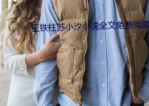 王(王)铁柱苏小汐(汐)小(小)说全文免费(費)阅(閱)读
