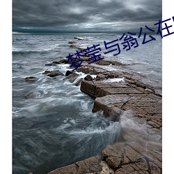 米乐M6·(中国)官方网站